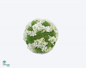 sfera polemoss Hortensia mintgreen