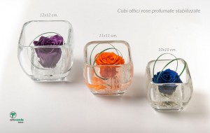 cubi ottici rose profumate stabilizzate