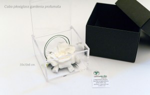cubo plexiglass gardenia profumata stabilizzata