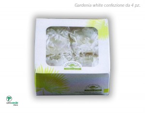 confezione gardenia arteverde store