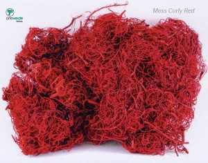 moss curly red